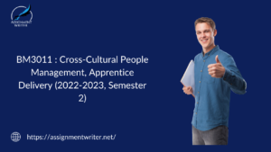BM3011 Developing Cross-Cultural People Management