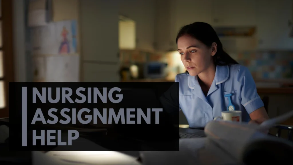 nursing assignment help