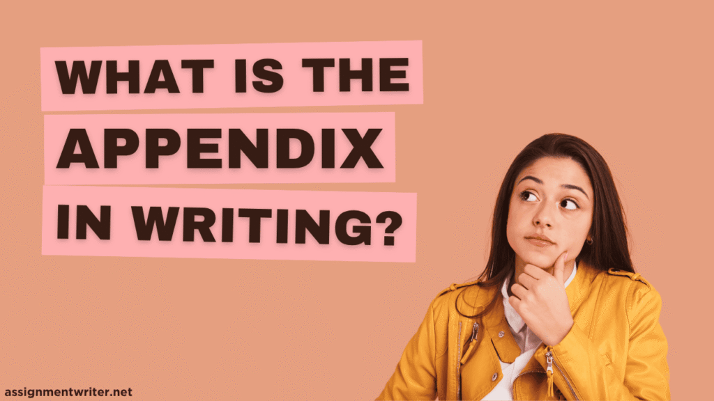 What is the Appendix in Writing